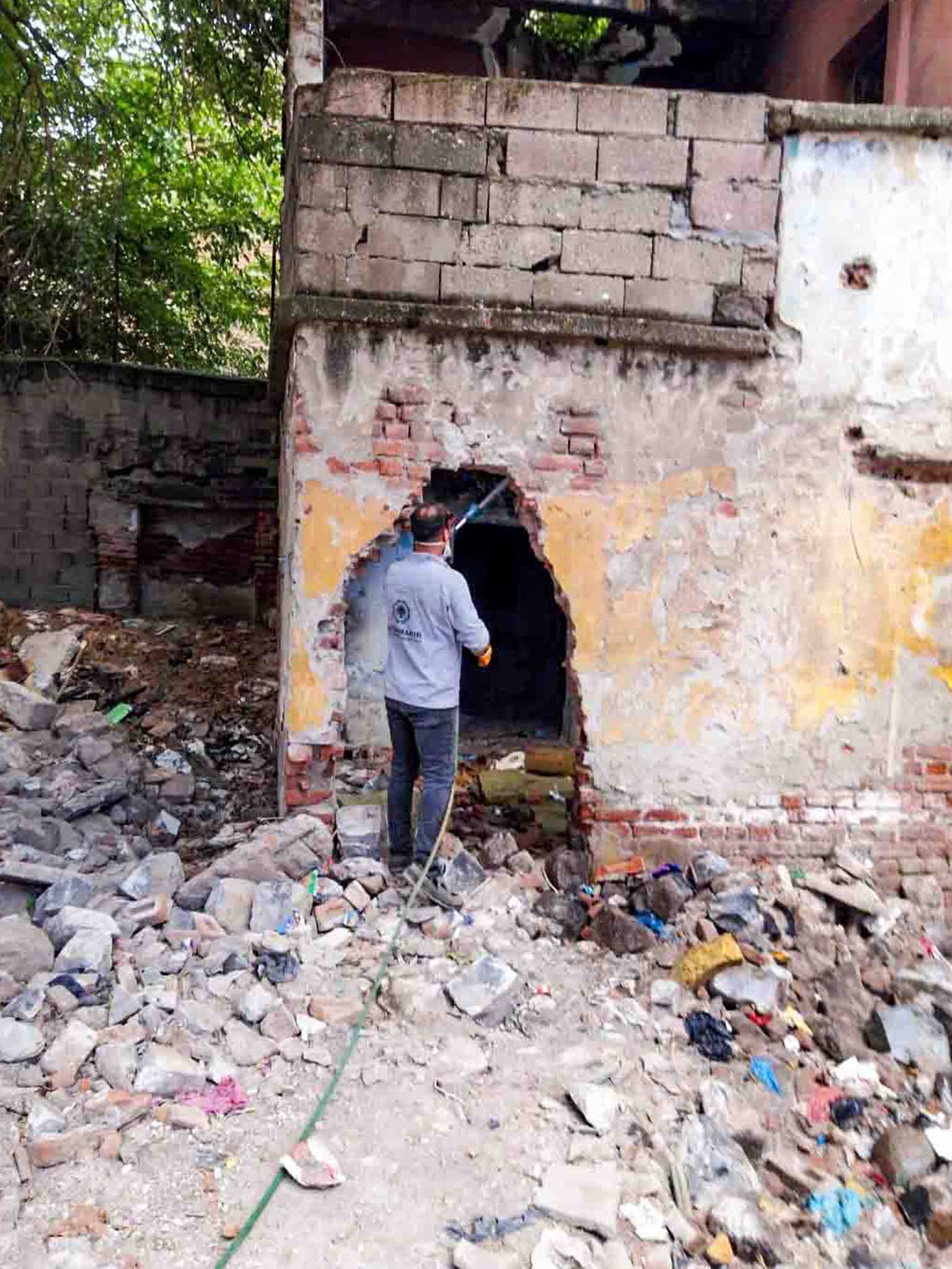 Diyarbakır’da Akrep Ve Yılan Alarmı 6