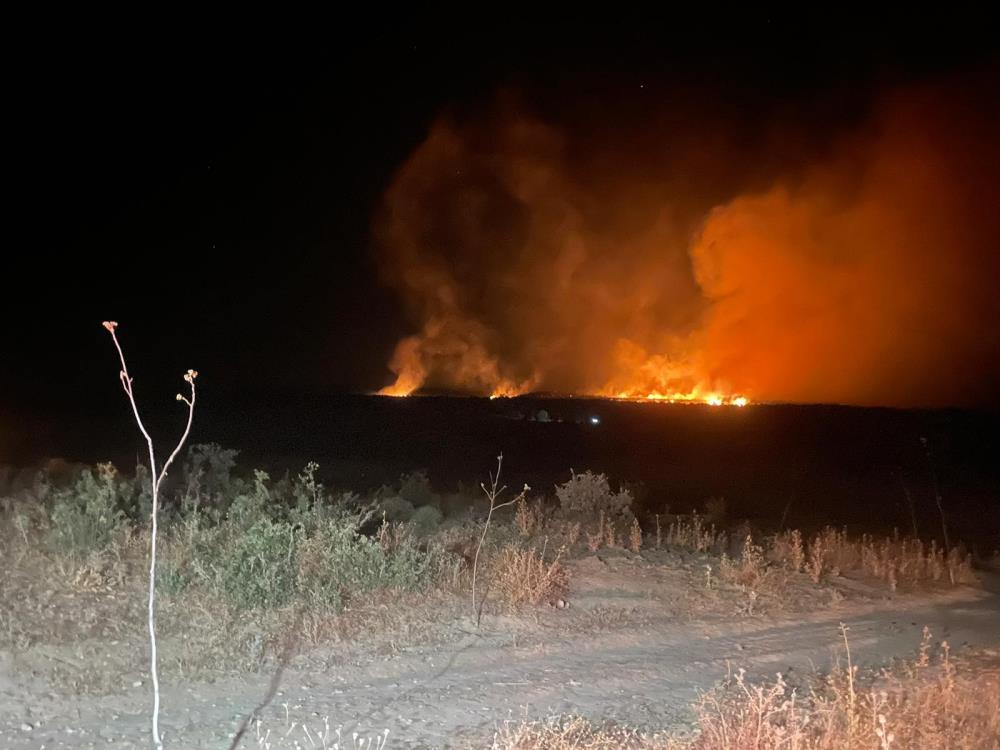 Diyarbakır'da Gece Saatlerinde Orman Yangını