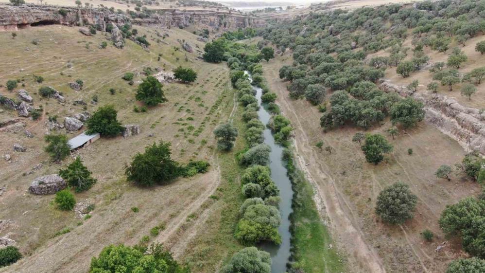 Diyarbakır'da Iki Kuzenin Girdikleri Sudan Cesetleri Çıktı 3