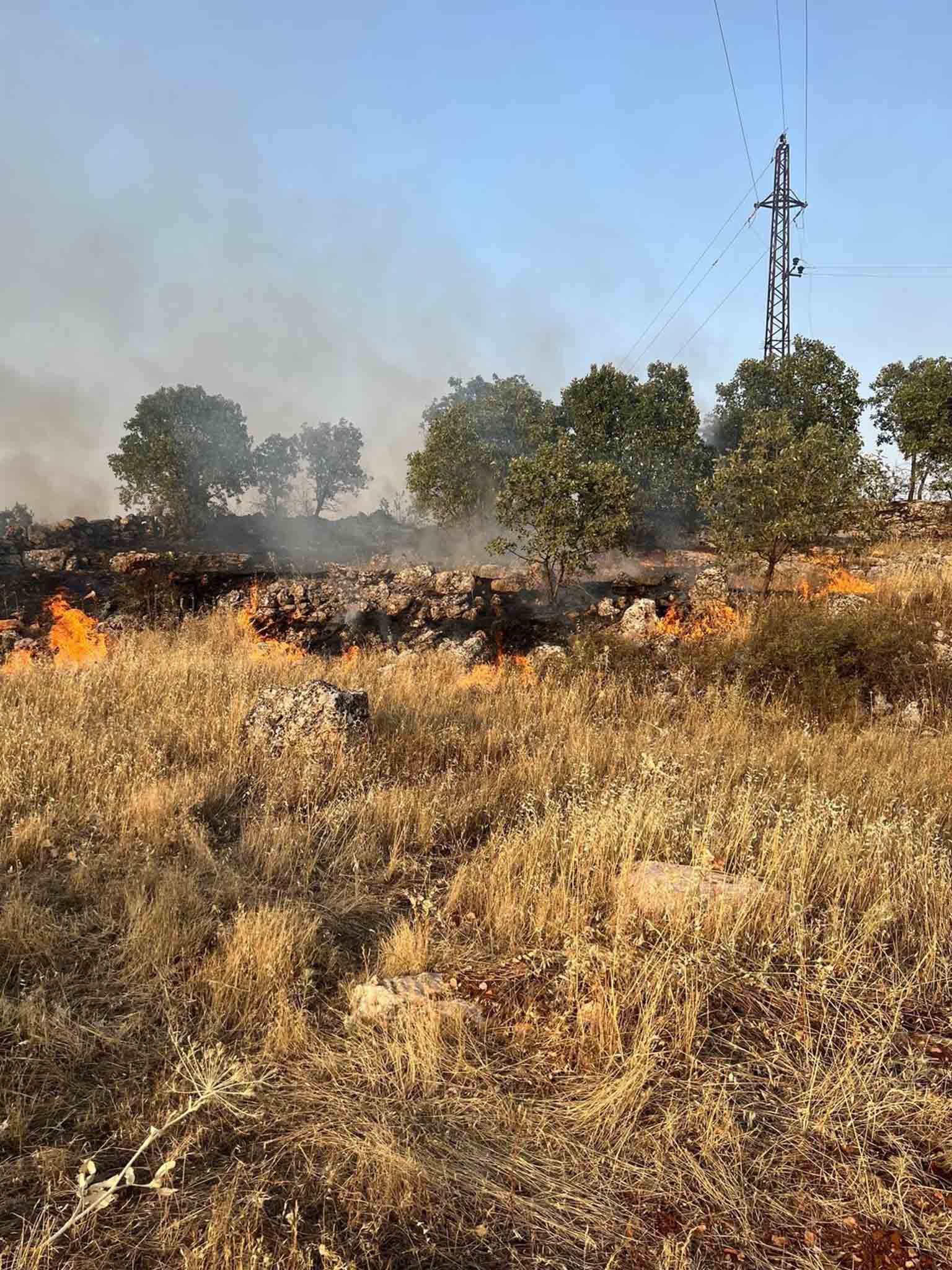 Mardin’de 3 Ilçede Çıkan Yangınlar Kontrol Altına Alındı 2