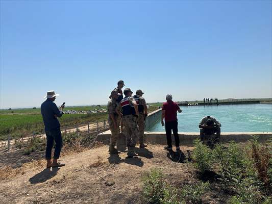 Şanlıurfa'da Kadın Çobanın Cesedi Sulama Kanalında Bulundu