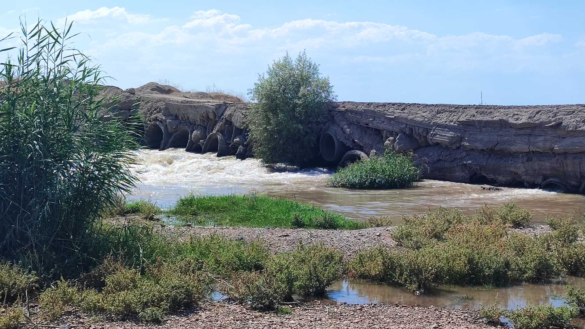 Bismil’de Dicle Nehri Kenarında Elbise Bulunması Üzerine Arama Çalışması Başlatıldı 3