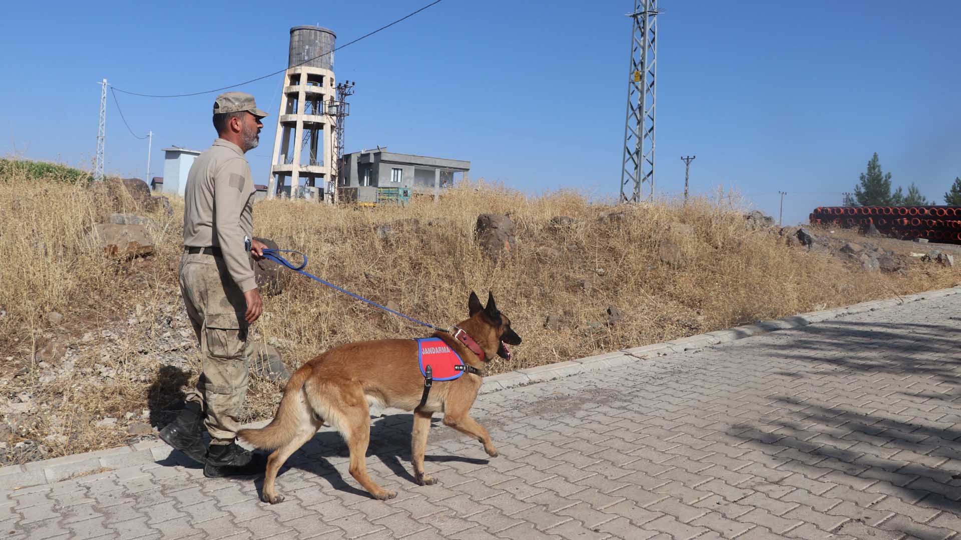 Diyarbakır’da 8 Yaşındaki Narin Sırra Kadem Bastı 3