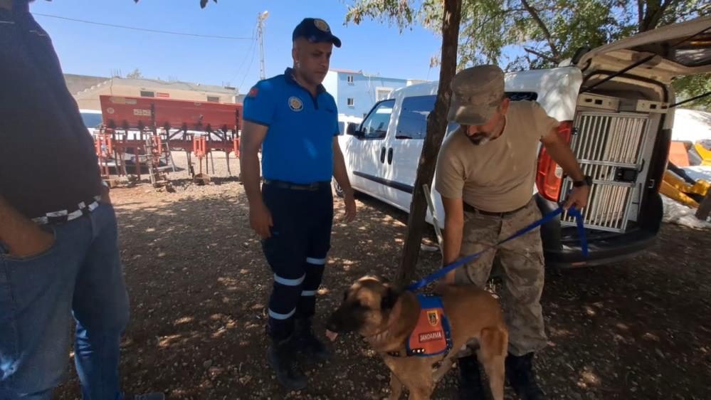 Diyarbakır’da Kayıp 8 Yaşındaki Kız, Iz Takip Köpeği Ve Dron Desteğiyle Aranıyor 1