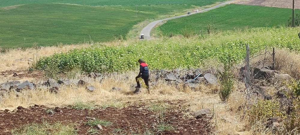 Diyarbakır’da Kayıp 8 Yaşındaki Kız, Iz Takip Köpeği Ve Dron Desteğiyle Aranıyor 3