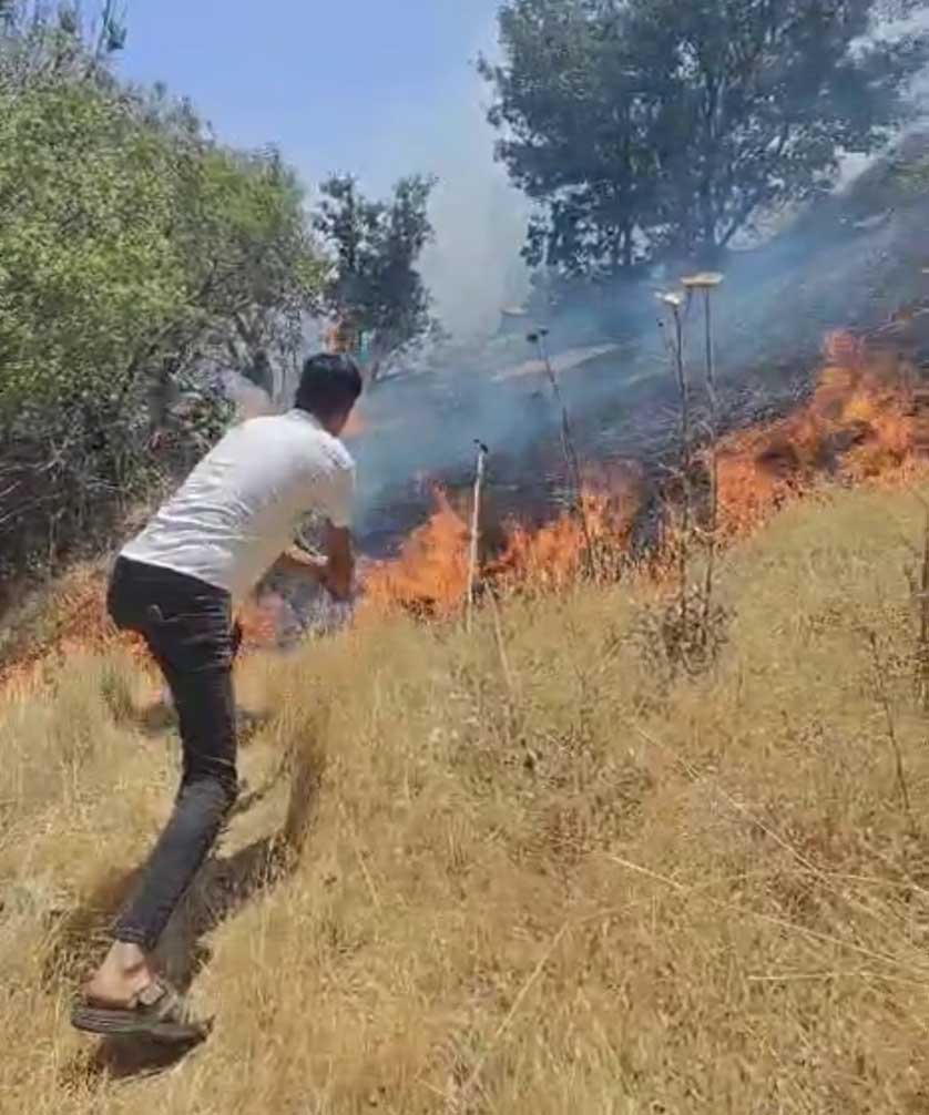 Diyarbakır’da Ormanlık Alanda Çıkan Yangın Kontrol Altına Alındı 1