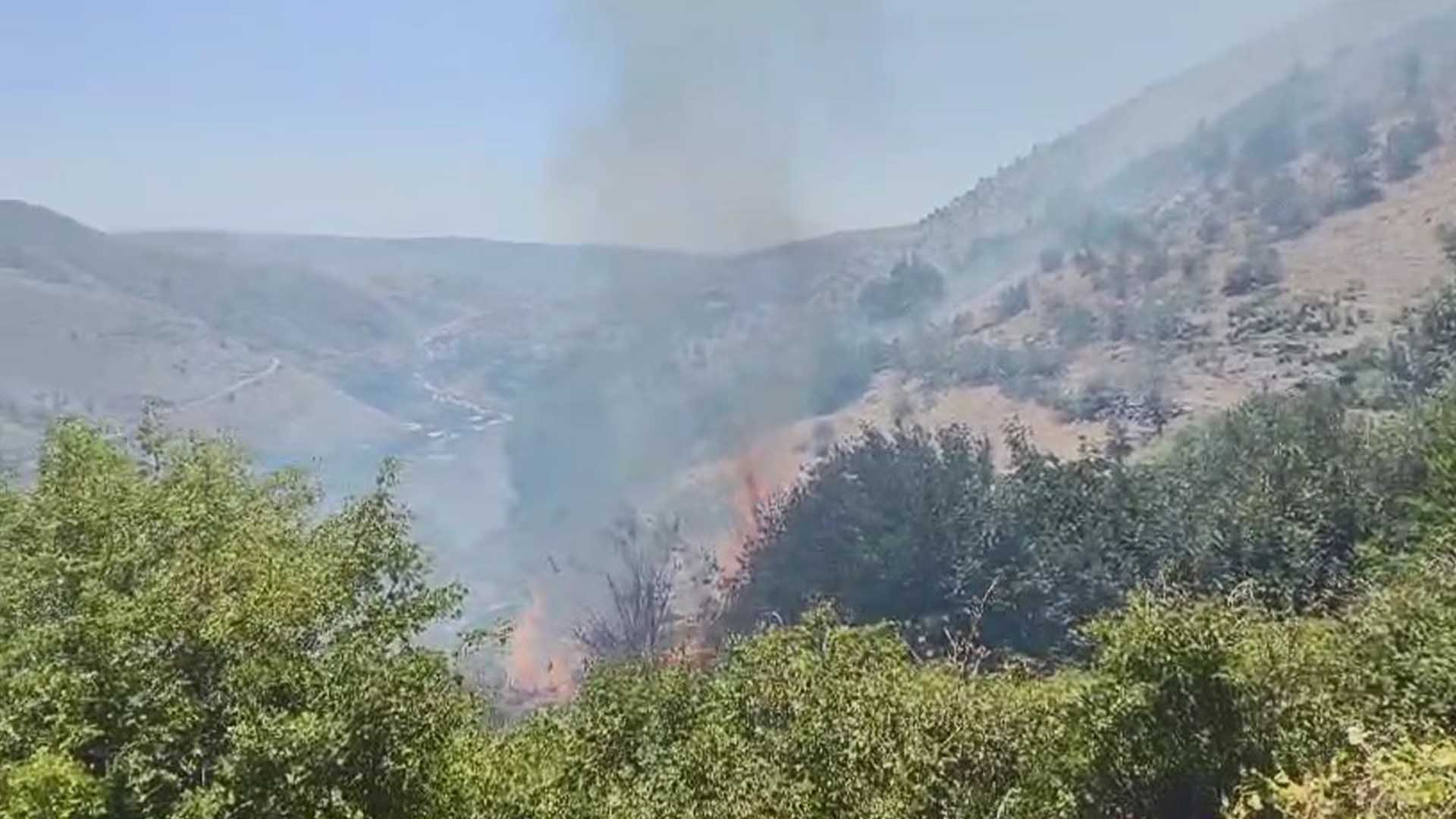 Diyarbakır'da Ormanlık Alanda Çıkan Yangına Müdahale Sürüyor 3