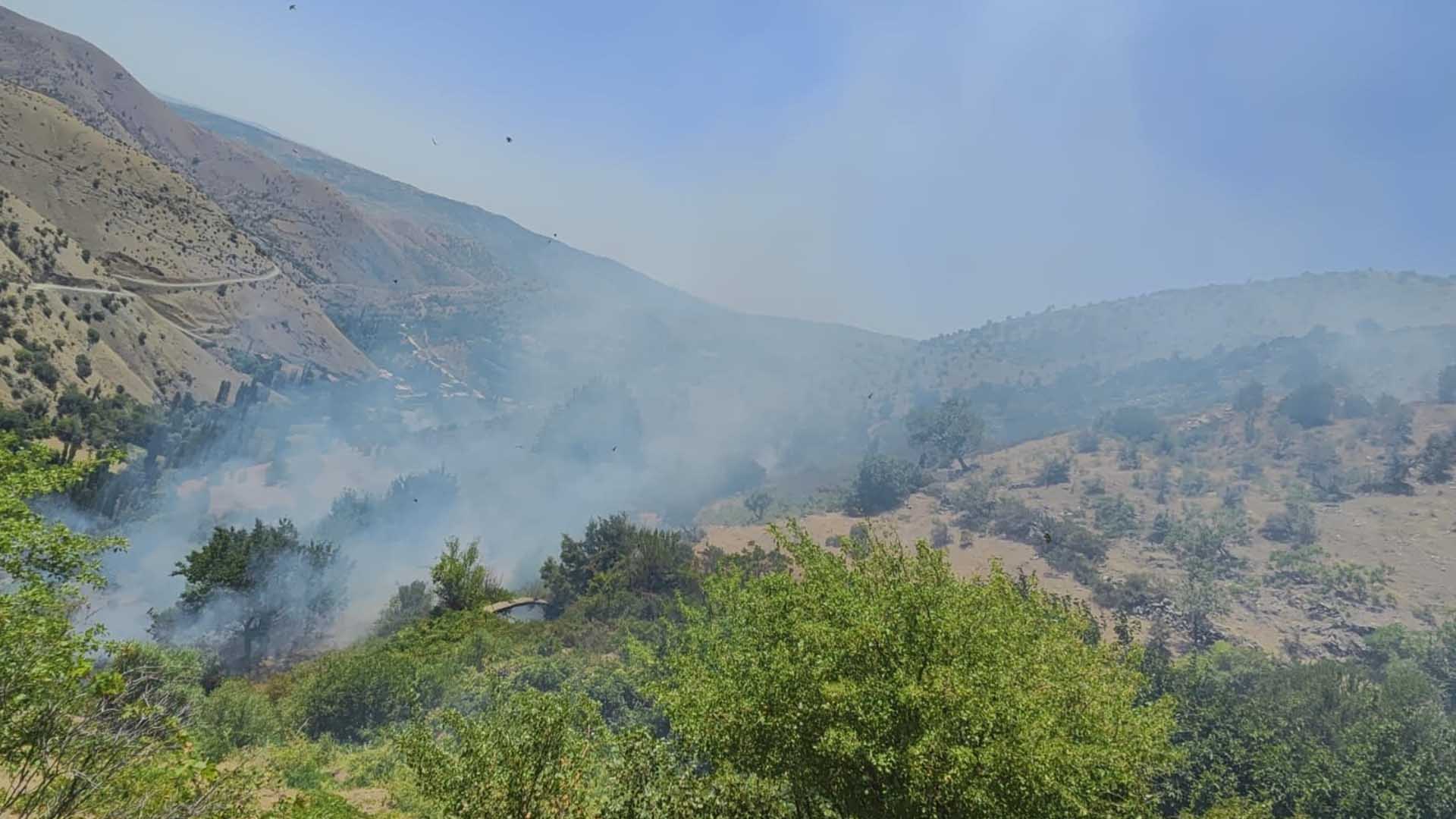 Diyarbakır'da Ormanlık Alanda Çıkan Yangına Müdahale Sürüyor 4