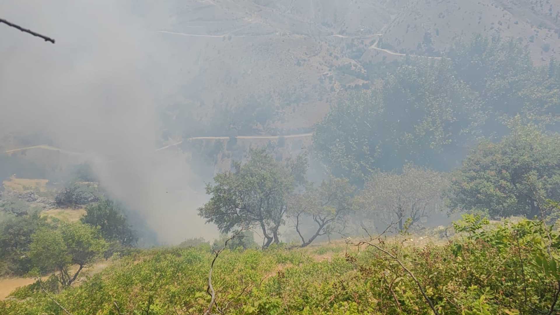 Diyarbakır'da Ormanlık Alanda Çıkan Yangına Müdahale Sürüyor 5