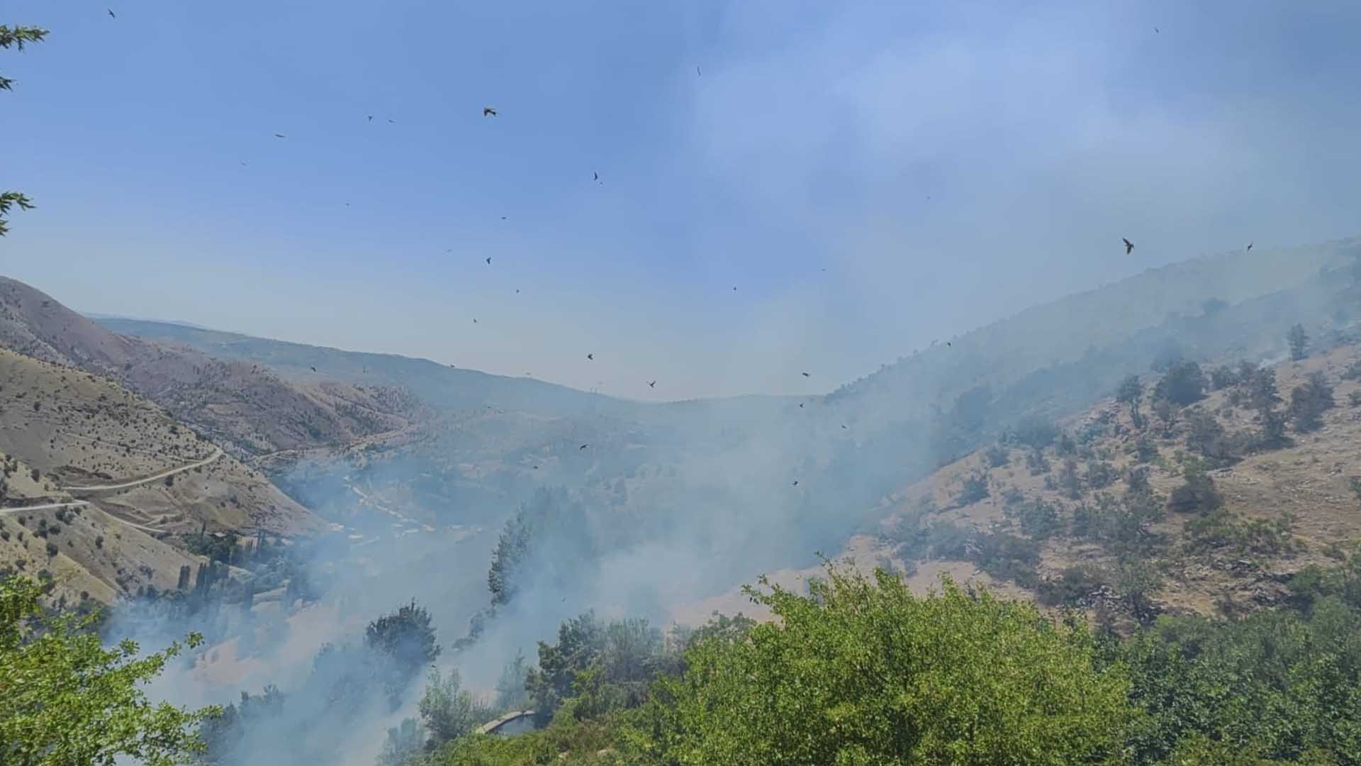 Diyarbakır'da Ormanlık Alanda Çıkan Yangına Müdahale Sürüyor