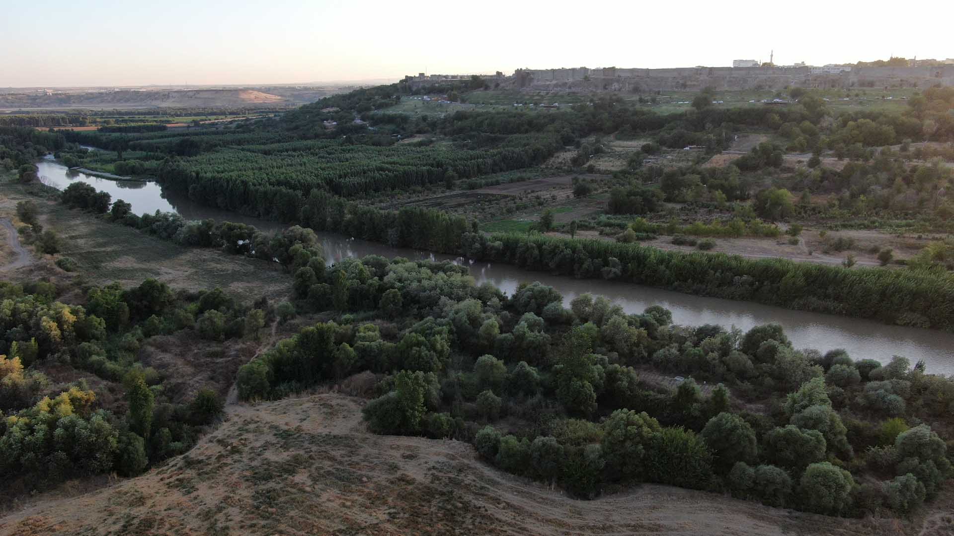 Diyarbakır’da Profesörden Korkutan Açıklama 2