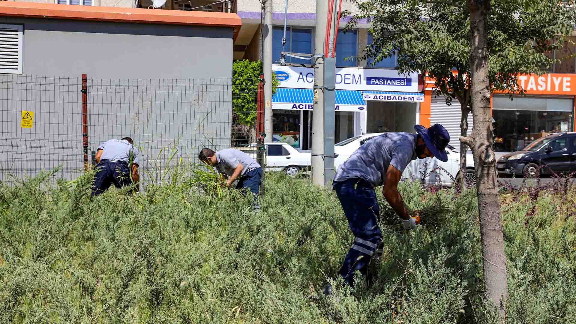 Diyarbakır’da Yenişehir Millet Bahçesinde Temizlik Ve Bakım Çalışmaları Sürüyor2