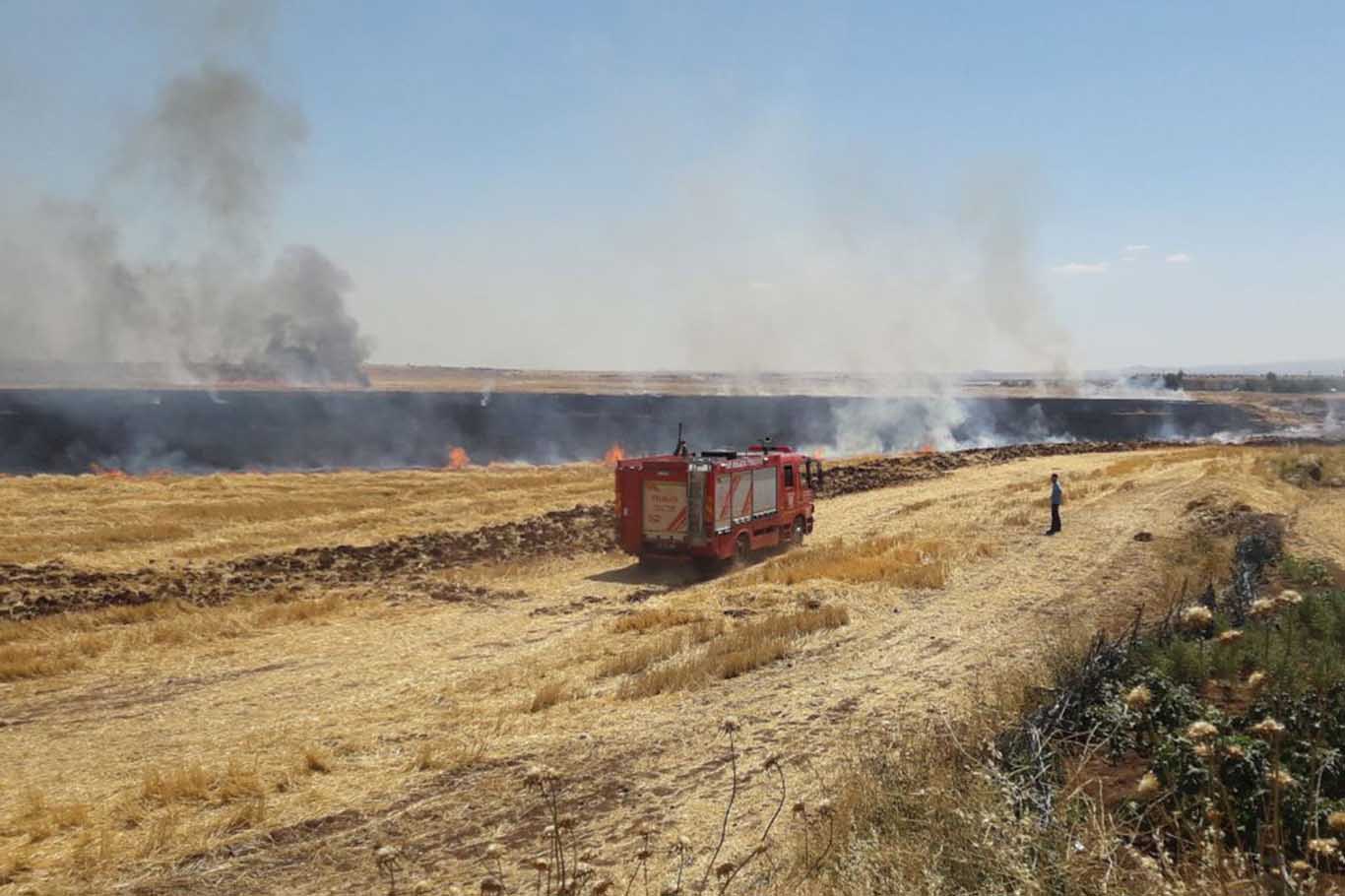 Diyarbakır'daki Çıkan Anız Yangını Kontrol Altına Alındı 4