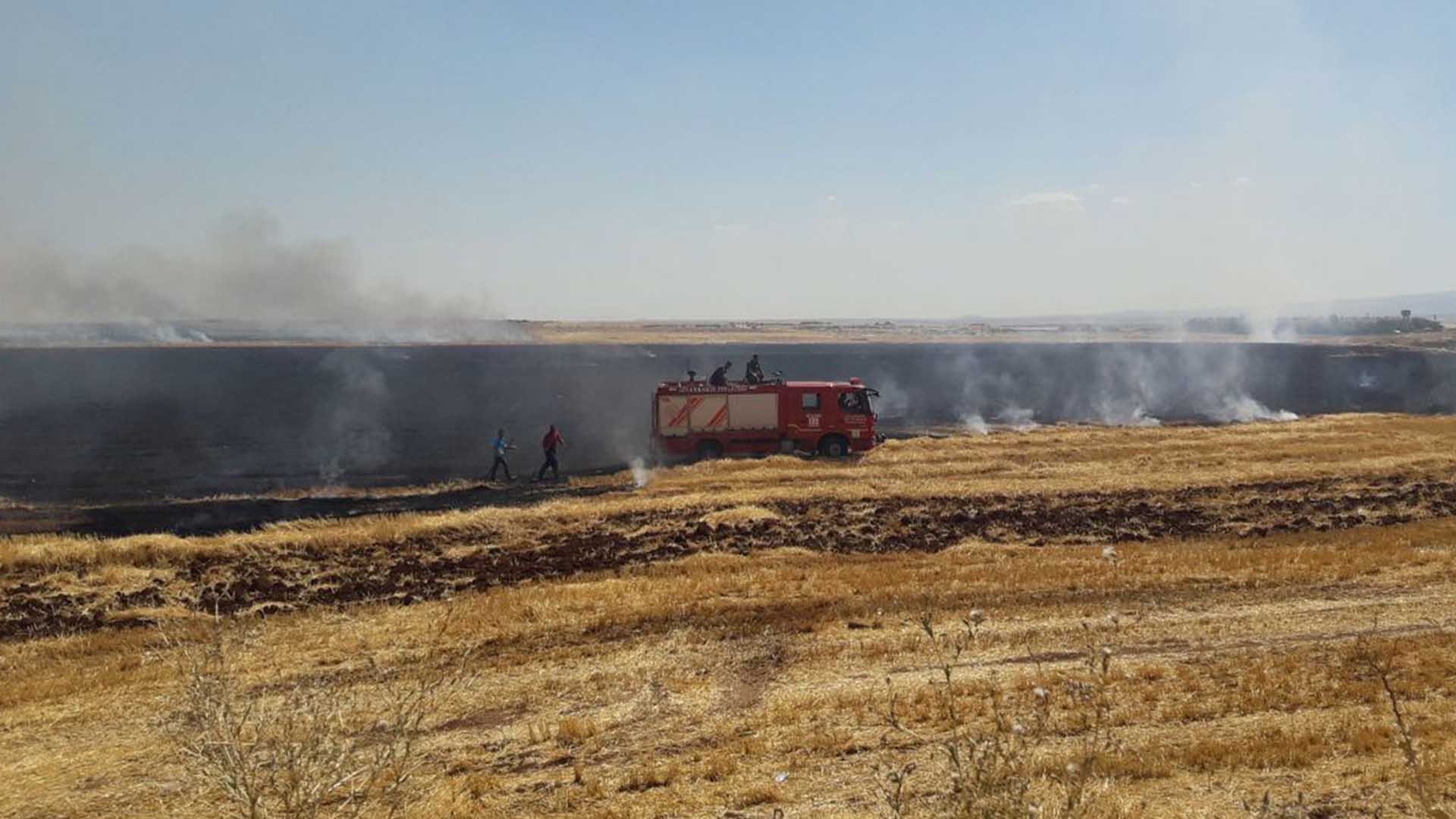 Diyarbakır'daki Çıkan Anız Yangını Kontrol Altına Alındı