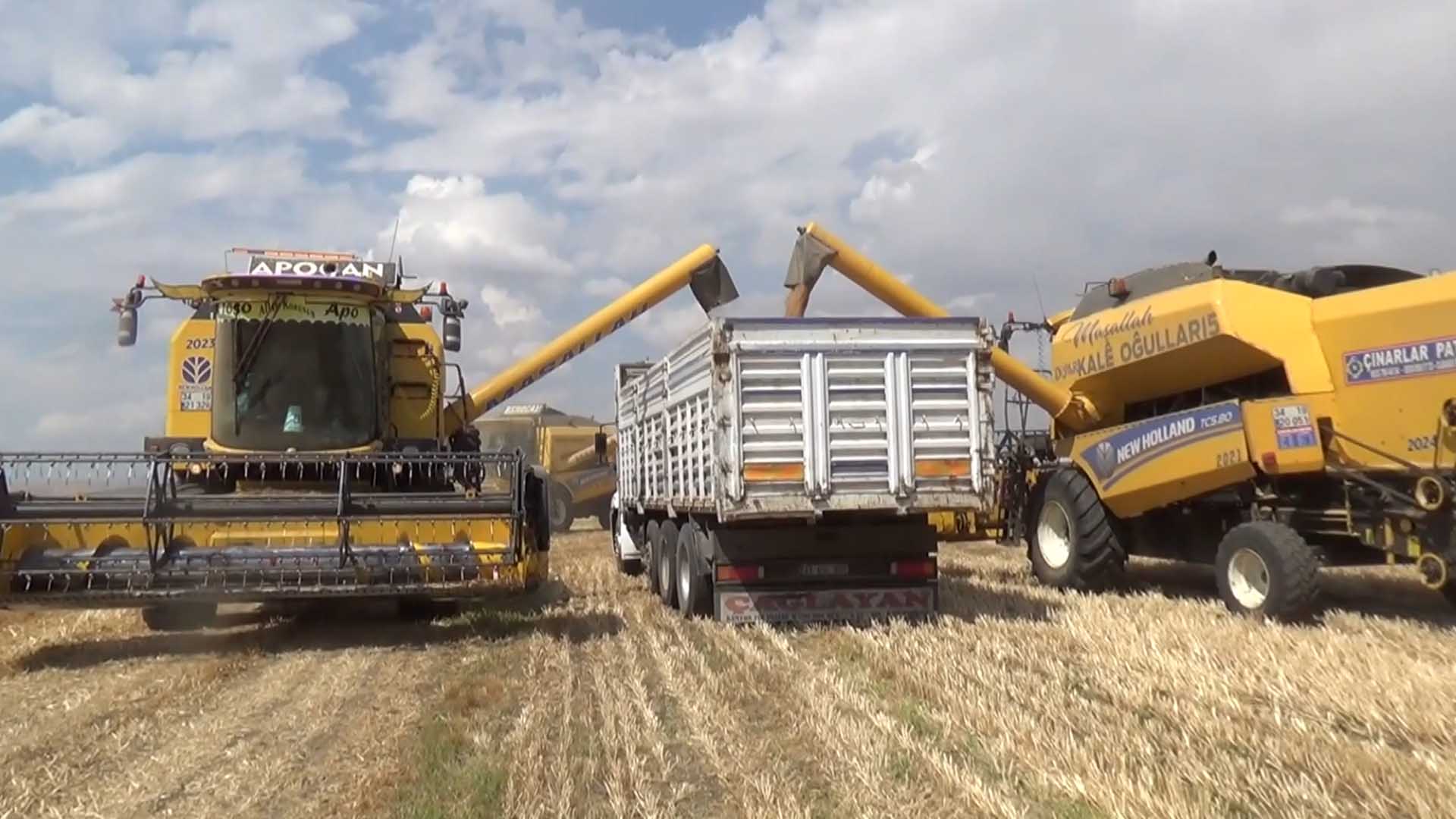 Diyarbakır'dan 21 Biçerdöver Ve 120 Kişilik Grupla Muş'a Buğday Hasadında Gittiler 7