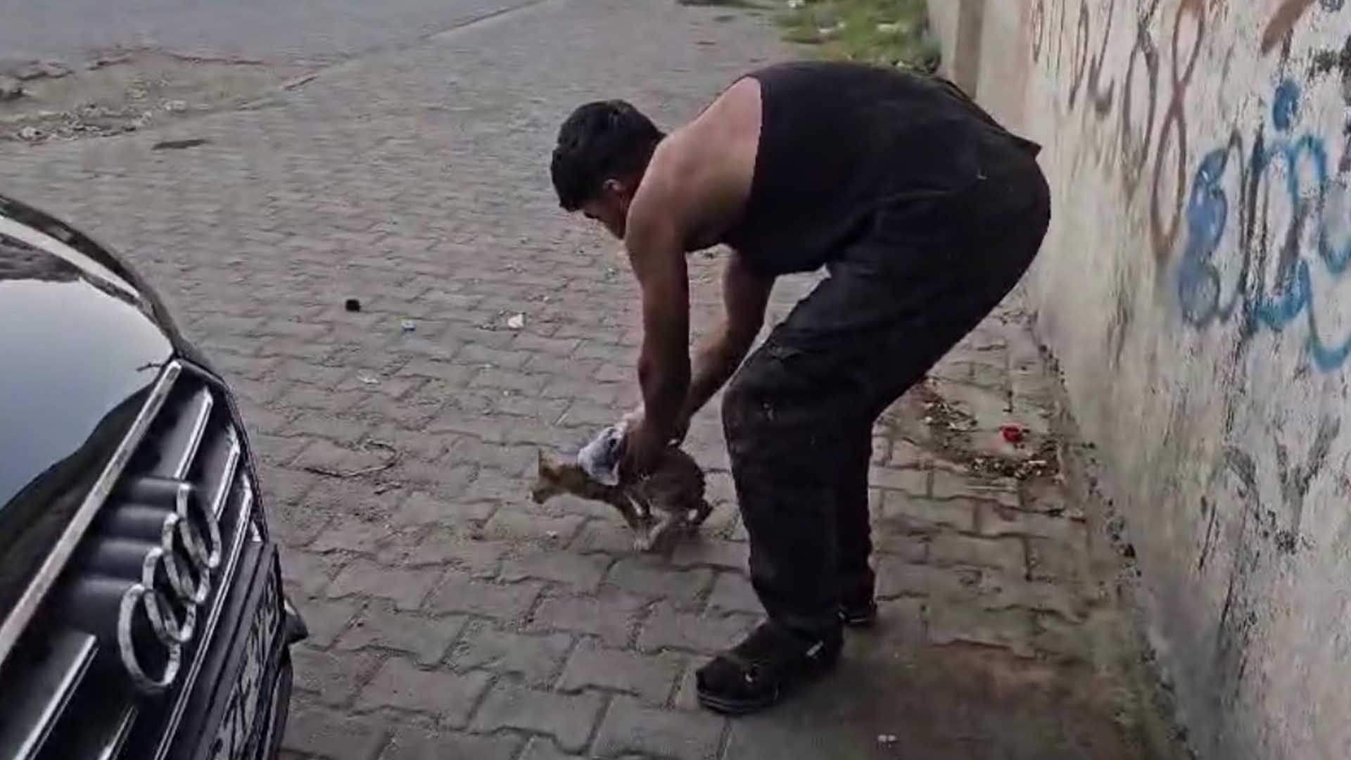 Ergani'de Araç Altına Sıkışan Kedi Sanayide Kurtarıldı 1