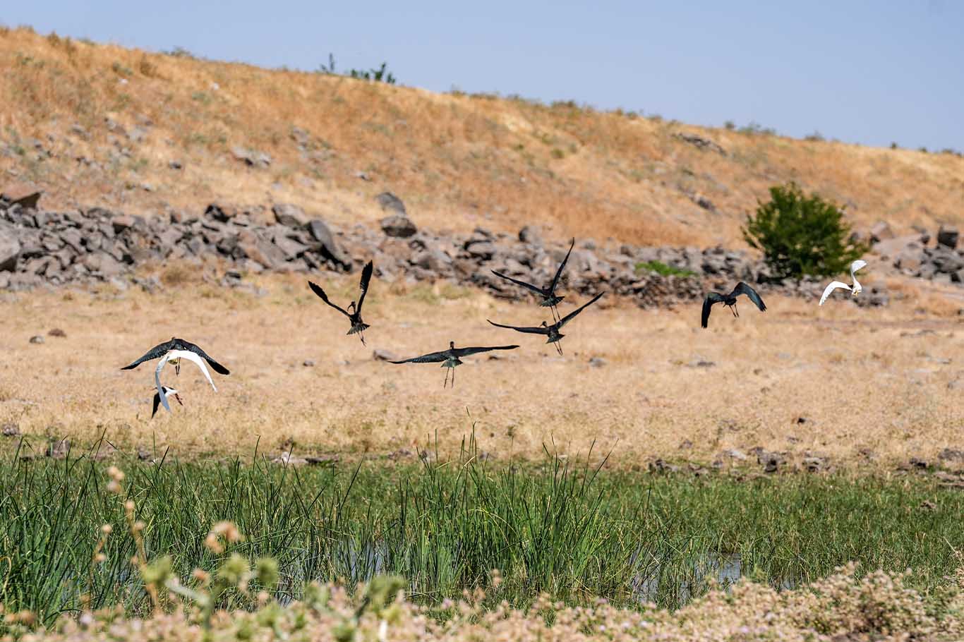 Mevsimsel Yağışlarla Dolan Devegeçidi Baraj Gölü Tarıma Can Suyu Oldu 3