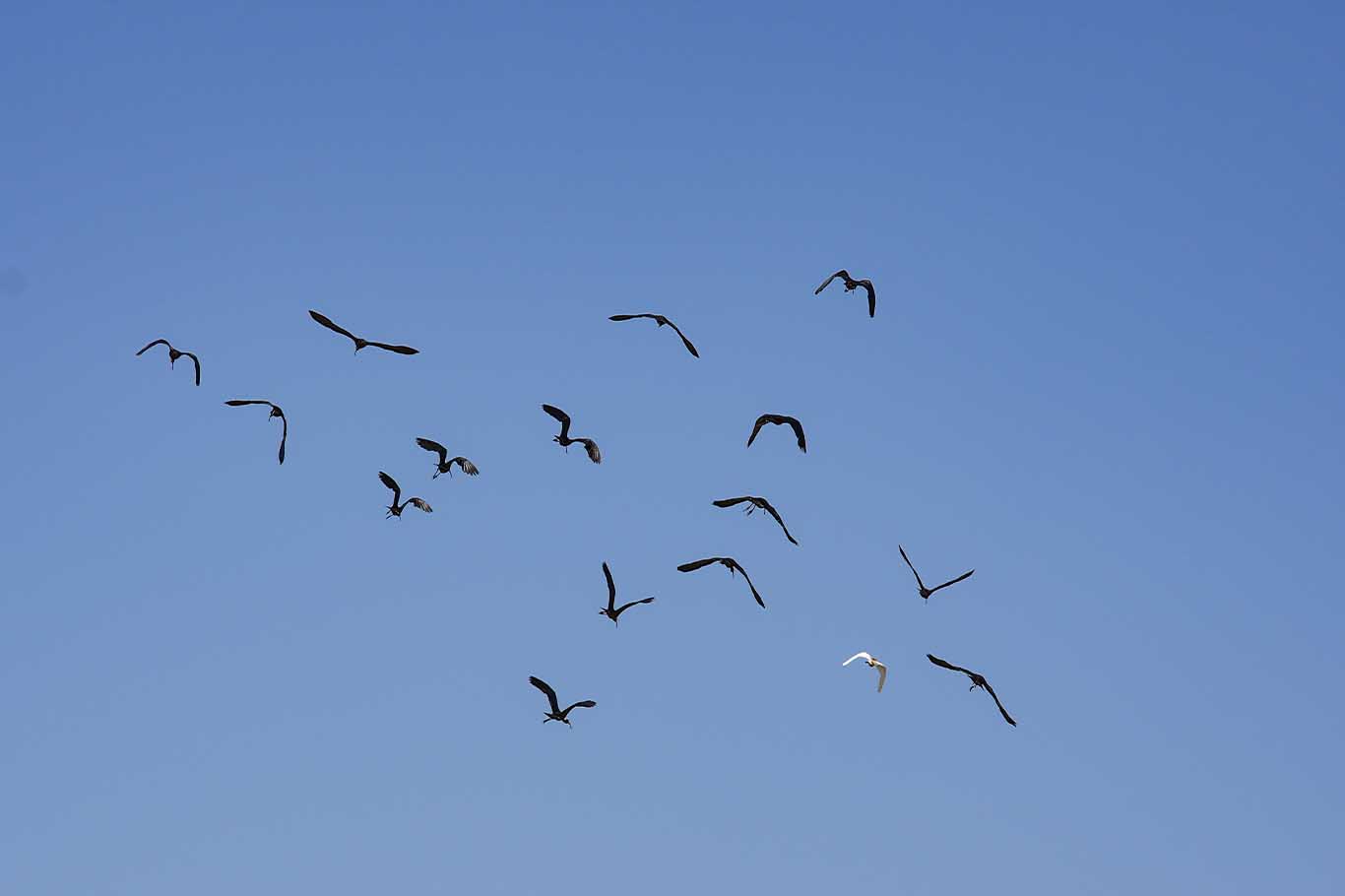 Mevsimsel Yağışlarla Dolan Devegeçidi Baraj Gölü Tarıma Can Suyu Oldu 4