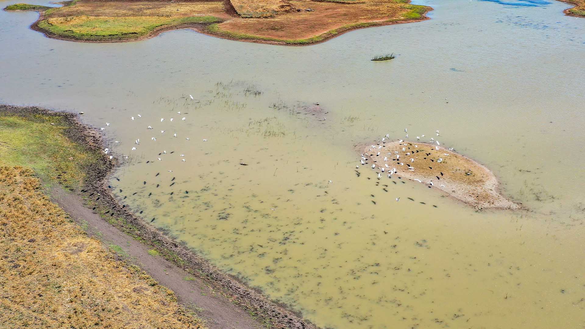 Mevsimsel Yağışlarla Dolan Devegeçidi Baraj Gölü Tarıma Can Suyu Oldu 6