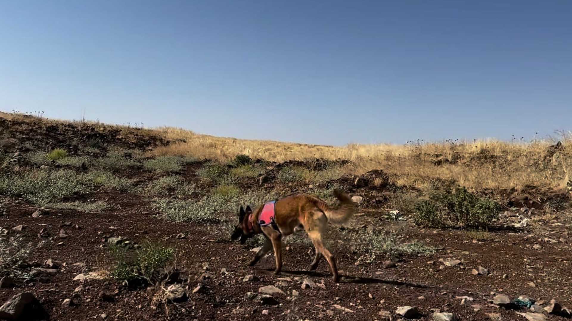 Narin'im Evin Tek Kızıydı, Engelli Kızıma 7 Yıl Boyunca Baktım, Sonra Vefat Etti 4