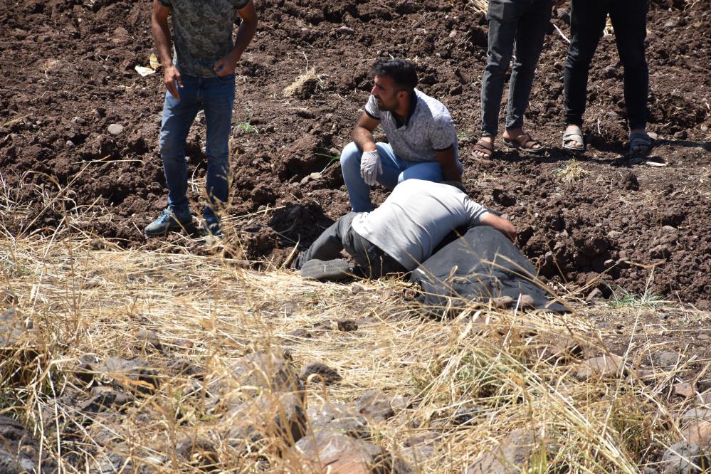 Şanlıurfa'da Otomobil Şarampole Devrildi 1 Ölü, 3 Yaralı 3