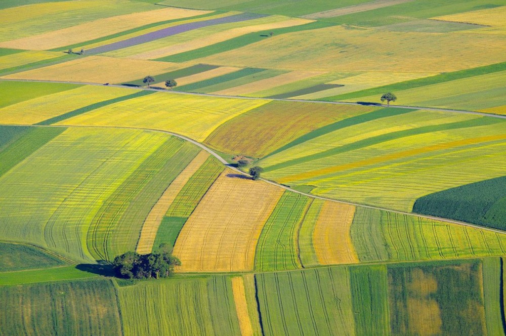 Terrain Agricole