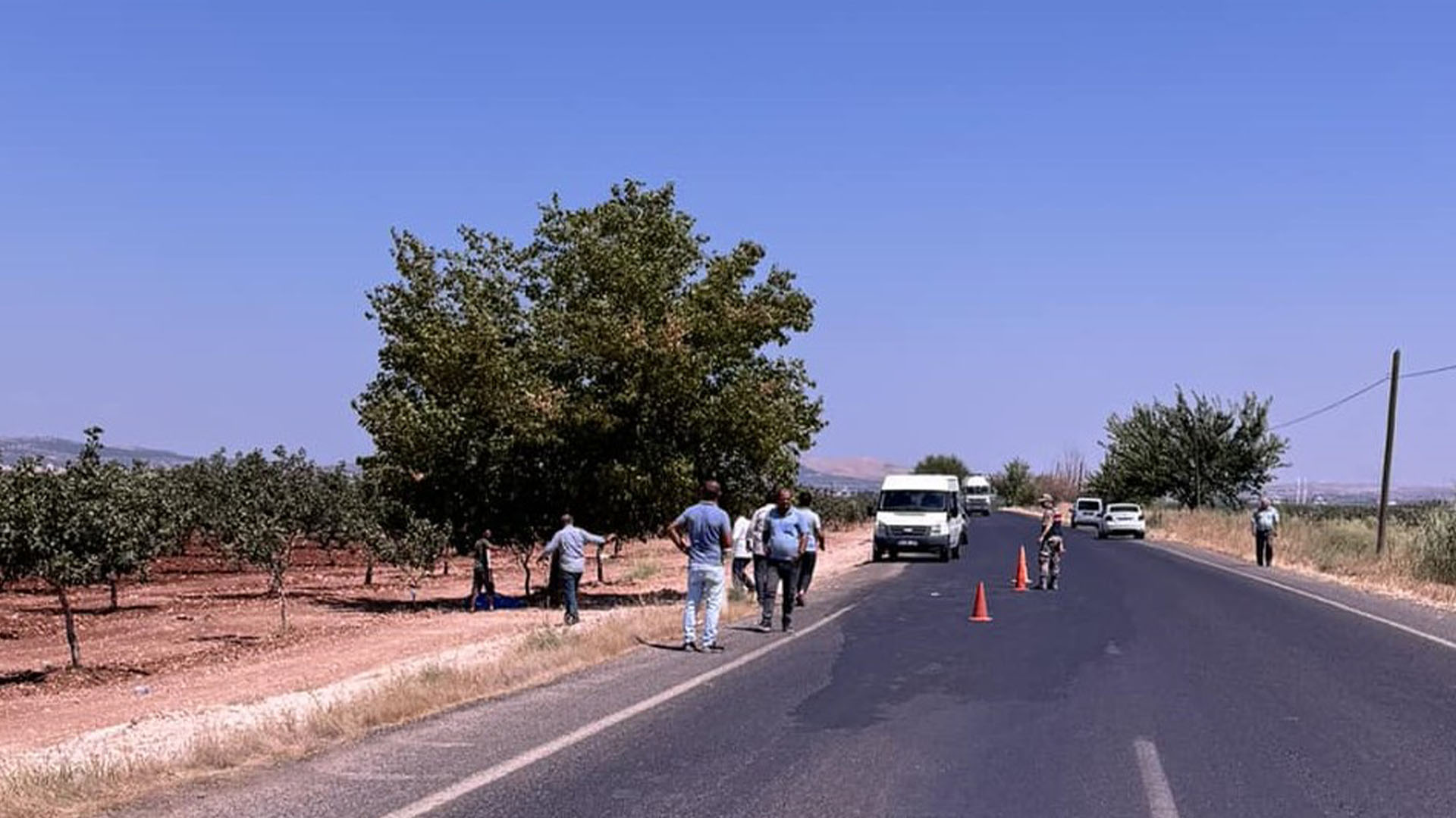 Yeni Nişanlanan Öğretmenin Fıstık Bahçesinde Cesedi Bulundu 1