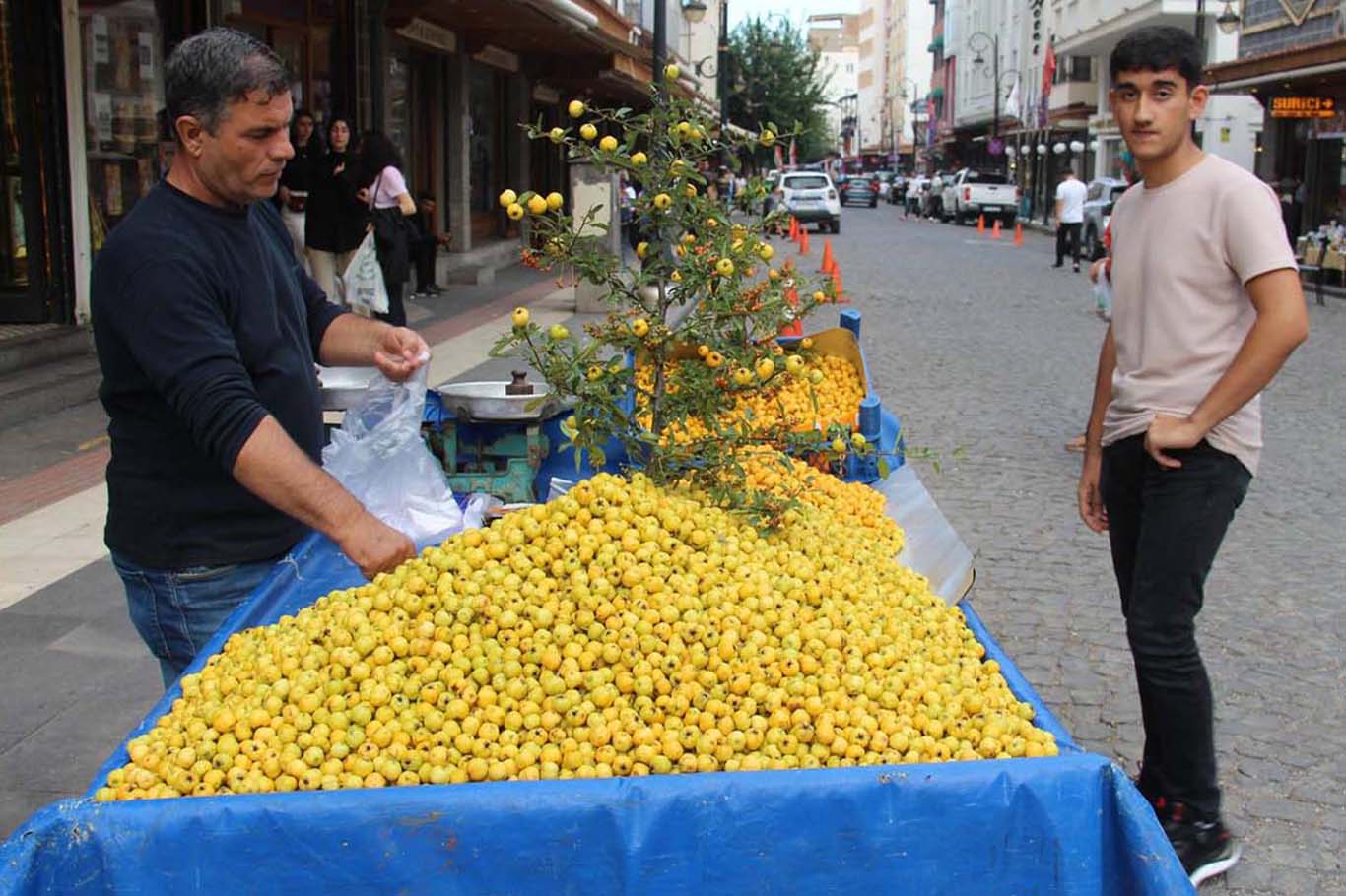 Diyarbakır’da Kışın Habercisi, Tezgâhlardaki Alıç Yerini Aldı 2