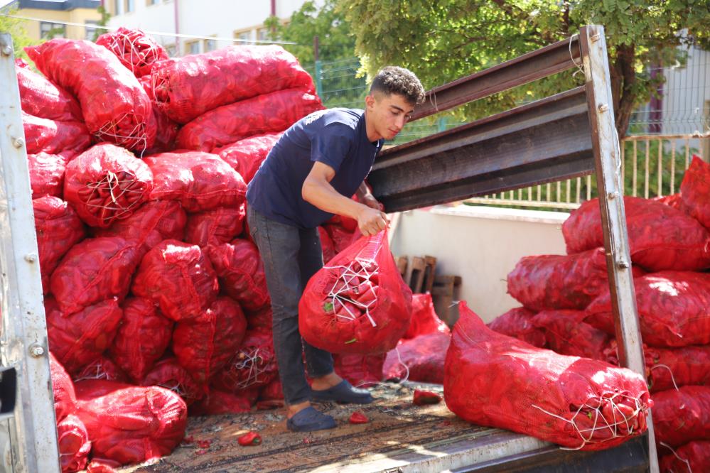 Gaziantep'te Üretim Tesislerinin Salça Mesaisi Başladı 3