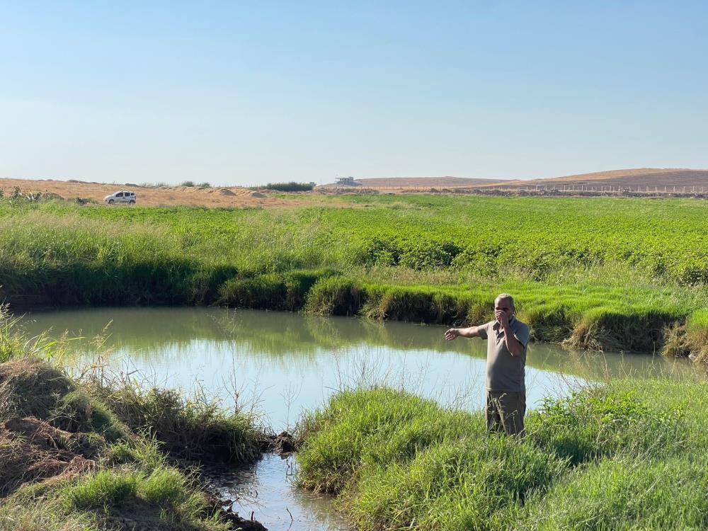 Harran Ovası'nda Oluşan Dev Obruklar! Çiftçiler Arasında Korkuya Neden Oldu 1