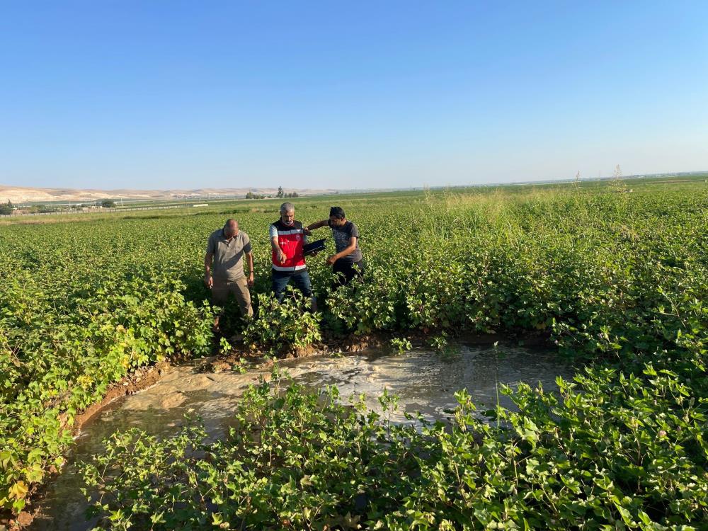 Harran Ovası'nda Oluşan Dev Obruklar! Çiftçiler Arasında Korkuya Neden Oldu 3