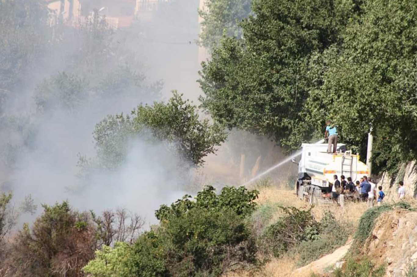 Mardin’de Örtü Yangını 50 Dönümlük Alan Zarar Gördü 1