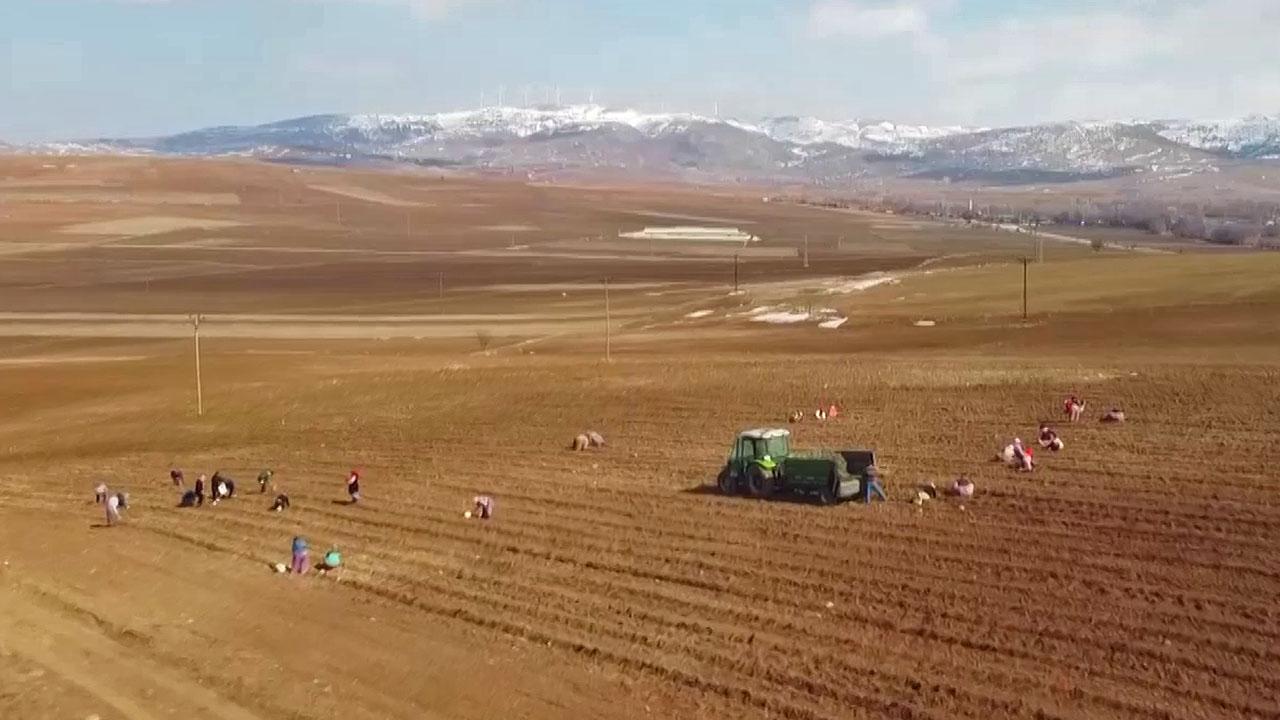 Tarım Orman Çiftçi Çifçi Buğday Pamuk Mısır Hasad Arsa Tarım Arsası Ekim (7)