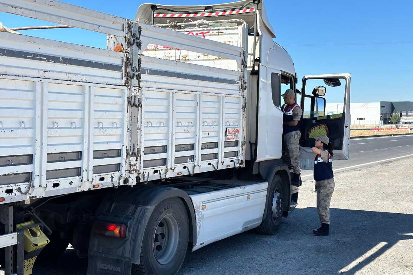 Diyarbakır’da 384 Hayvana El Konuldu 1