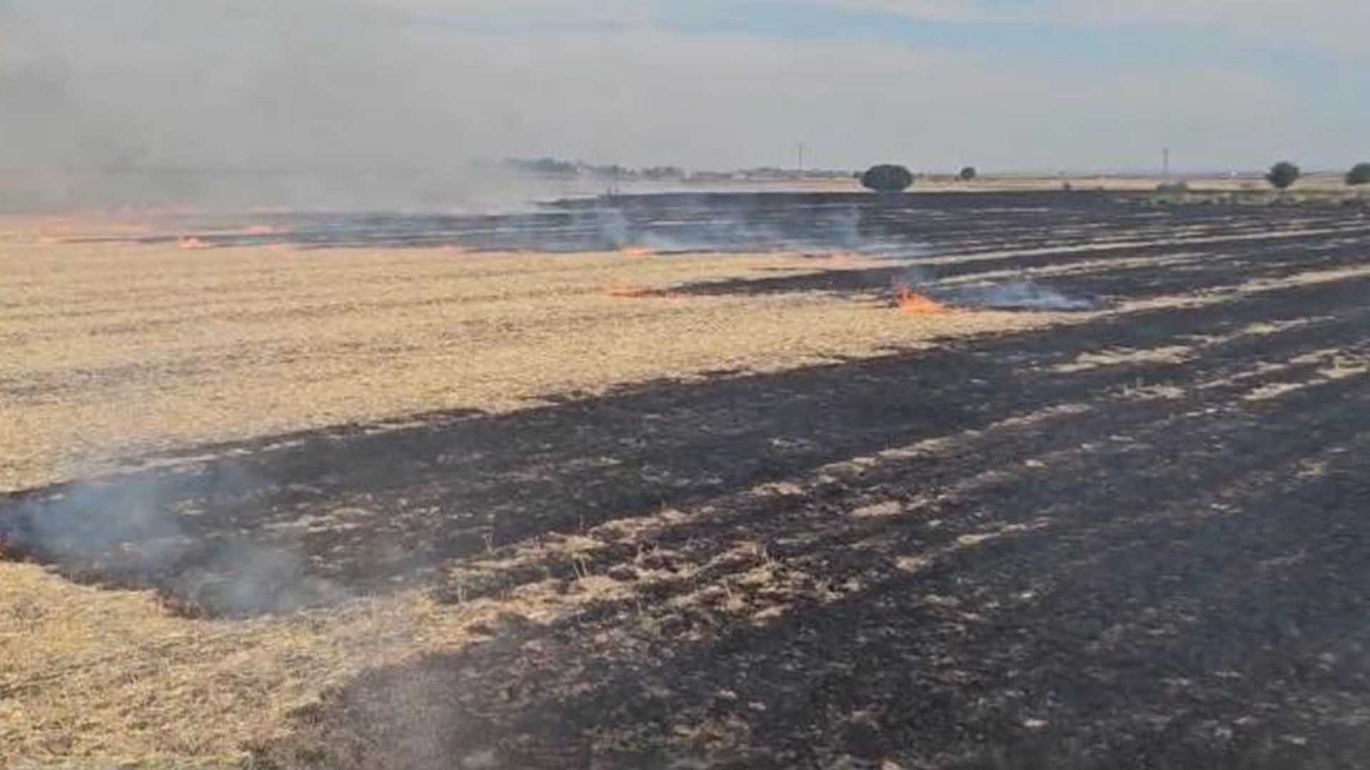 Diyarbakır’da Arazi Yangını 1 Yaralı 1