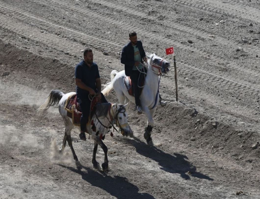 Mardin’de Geleneksel Rahvan At Yarışları Şampiyonası 1