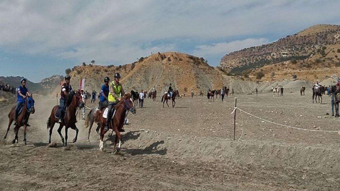 Mardin’de Geleneksel Rahvan At Yarışları Şampiyonası 3