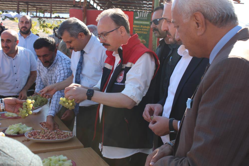 Siirt'te Fıstık Hasadı Yapıldı 3