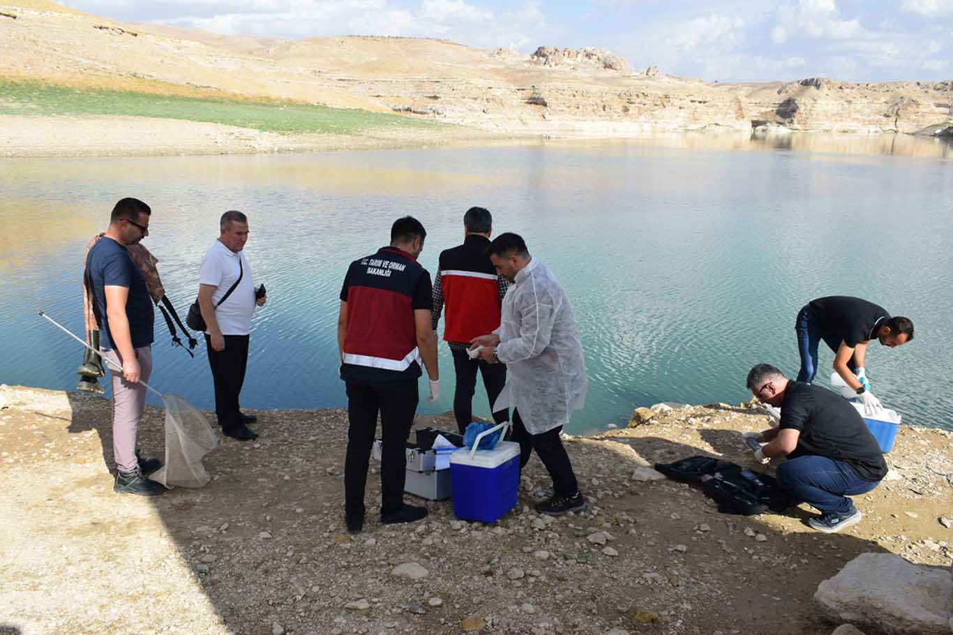 Uzman Ekip, Dicle Nehrindeki Balık Ölümlerini Araştırıyor 2