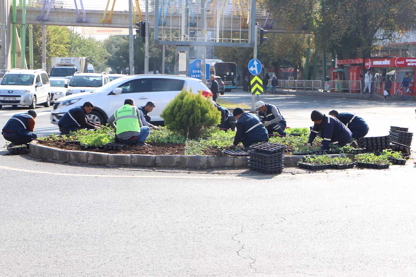 Diyarbakır’da 1 Milyon 30 Bin Kışlık Çiçek Toprakla Buluşuyor 2