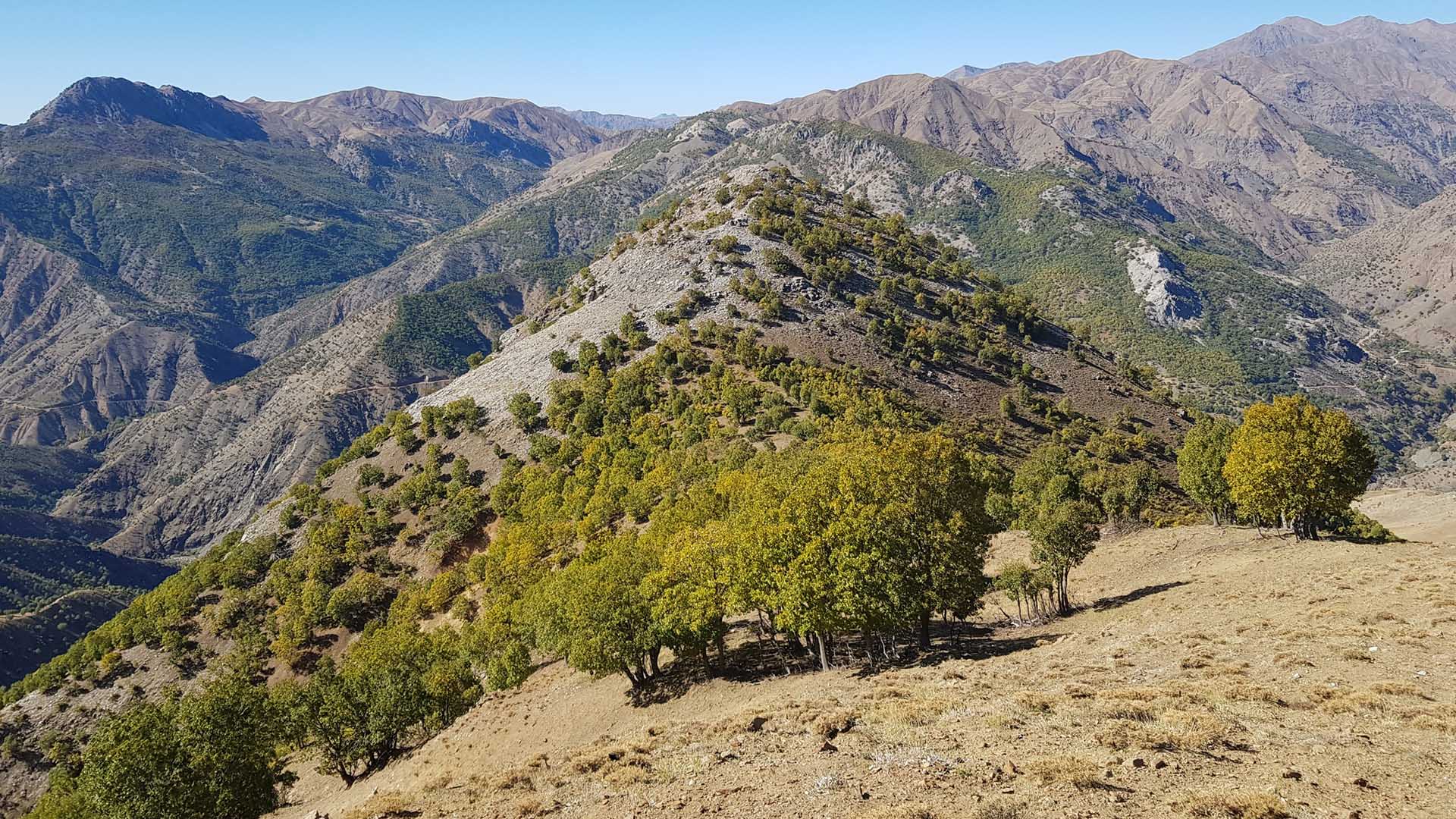 Kulp’un Dağlarında Sonbahar Manzaraları Görenleri Büyülüyor1