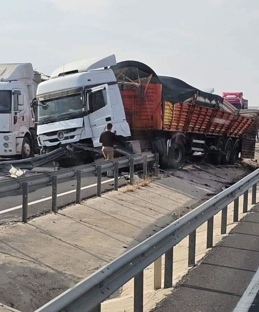 Tır Kaza Yaptı, Büyükbaş Hayvanlar Yola Çıktı 2