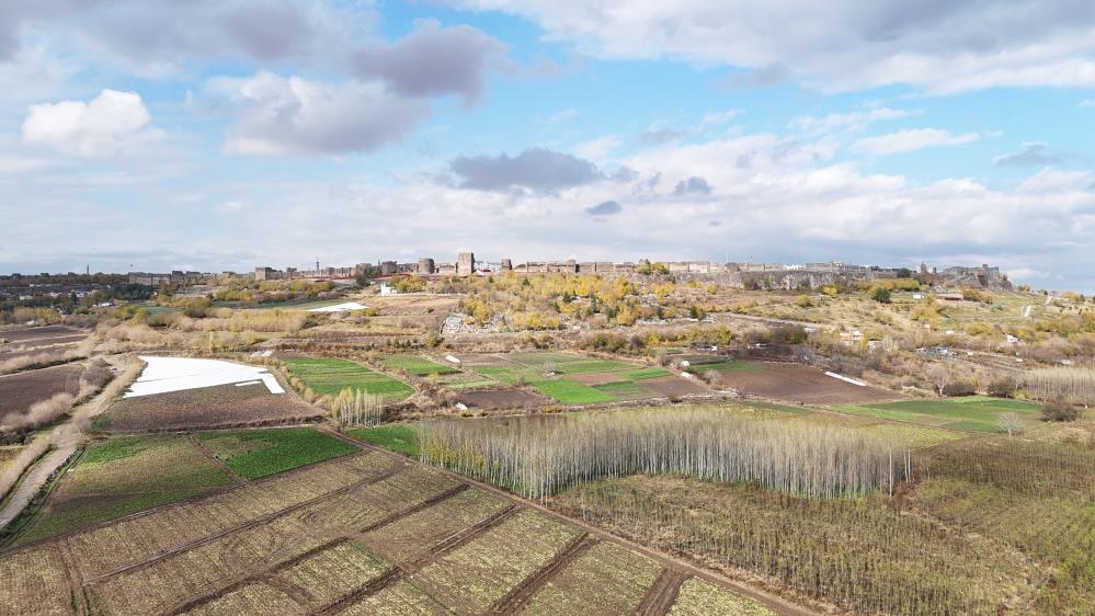 Yılda Dört Ürün Ekiliyor! Diyarbakır Hevsel Bahçeleri'nde Sezonun Son Hasadı 7