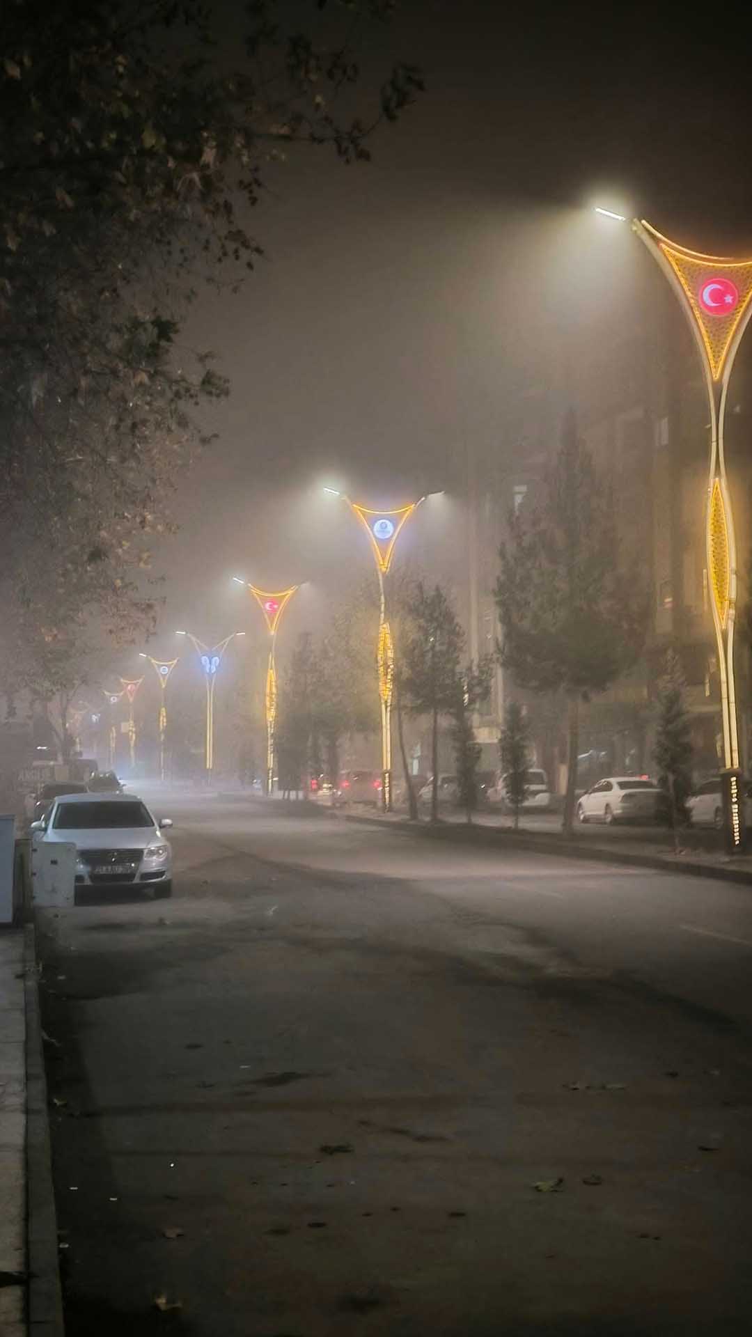 Bismil’de Yoğun Sis, Etkisini Sürdürüyor 11