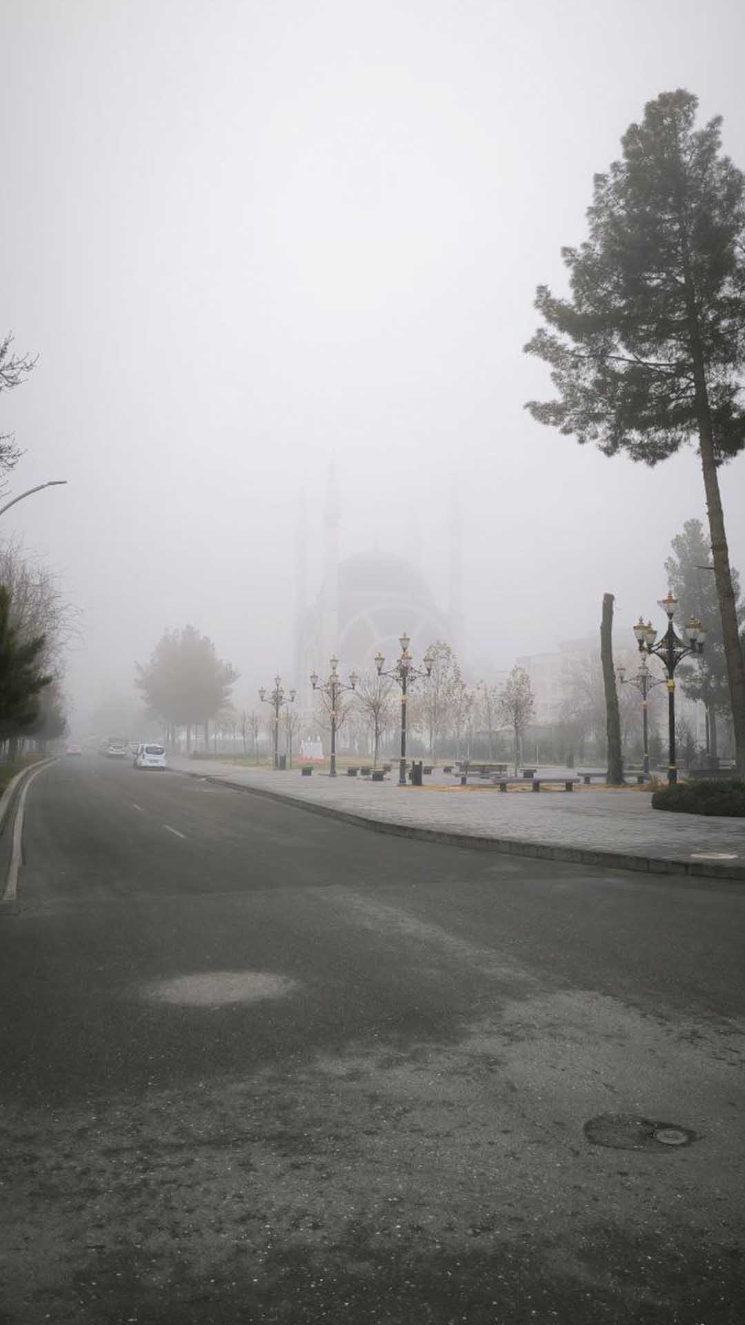 Bismil’de Yoğun Sis, Etkisini Sürdürüyor 13