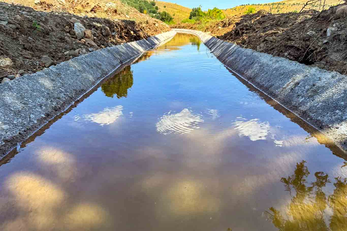 Diyarbakır'da 76 Milyon Tl’lik Tarım Ve Hayvancılık Projesi Ile 6 Bin 500 Çiftçiye Destek 4