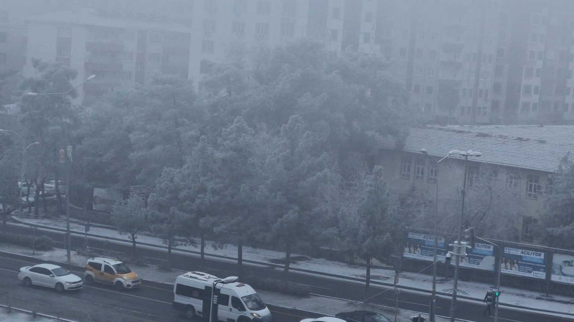 Diyarbakır'da Sis Ve Dondurucu Soğuk 4