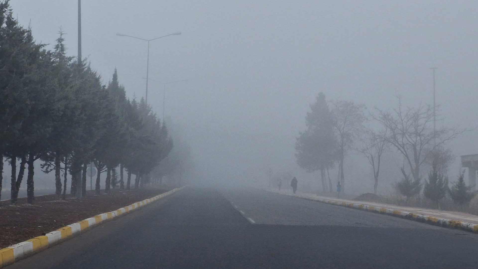 Diyarbakır'da Sis Ve Dondurucu Soğuk 6