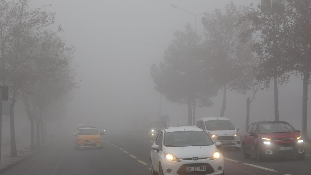 Diyarbakır'da Yoğun Sis... Uçak Seferlerinde Gecikmeler Yaşandı 1