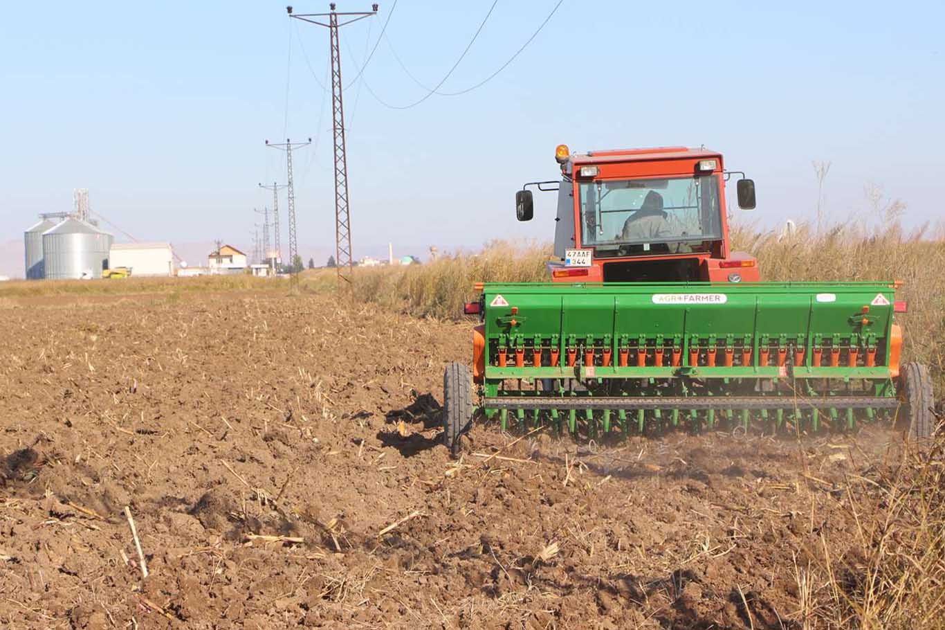 Mardin’de 3 Milyon Dönüm Alana Buğday Ekimi Yapılacak 1